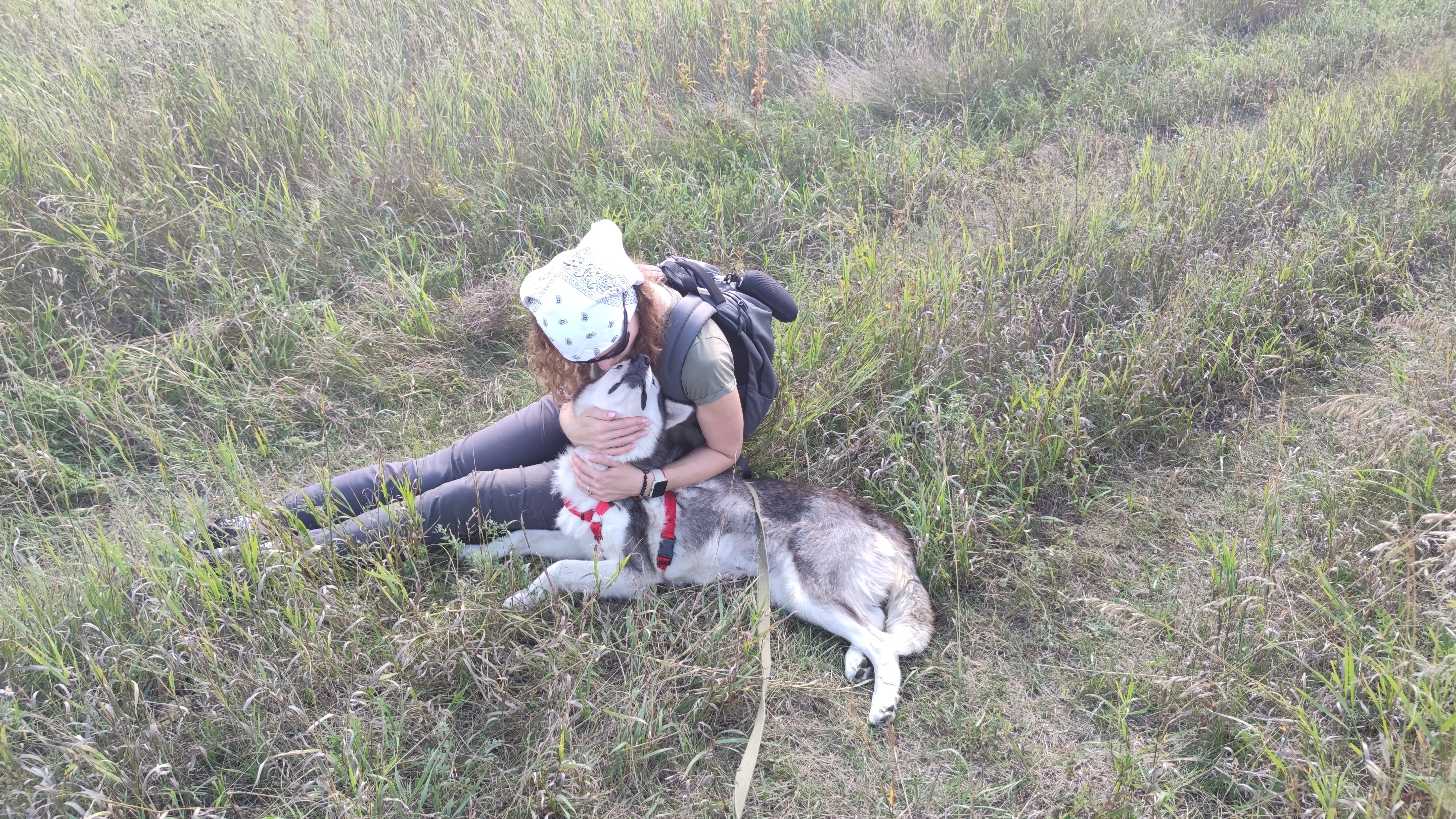 "Хаски Сибири" приют в г. Красноярске